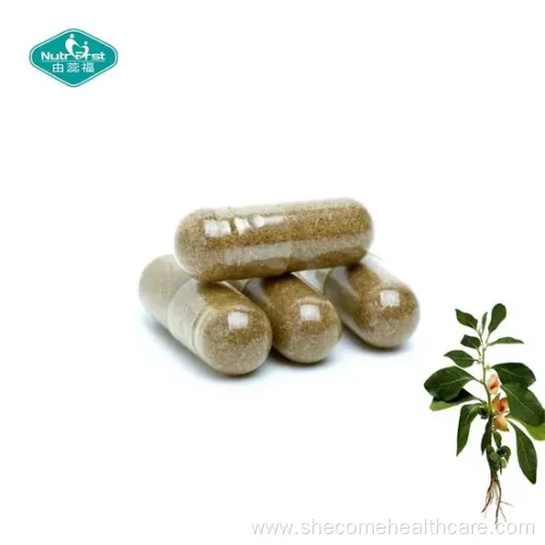 Energy Support Capsules: Ashwagandha, Turmeric & Ginger Extract Blend